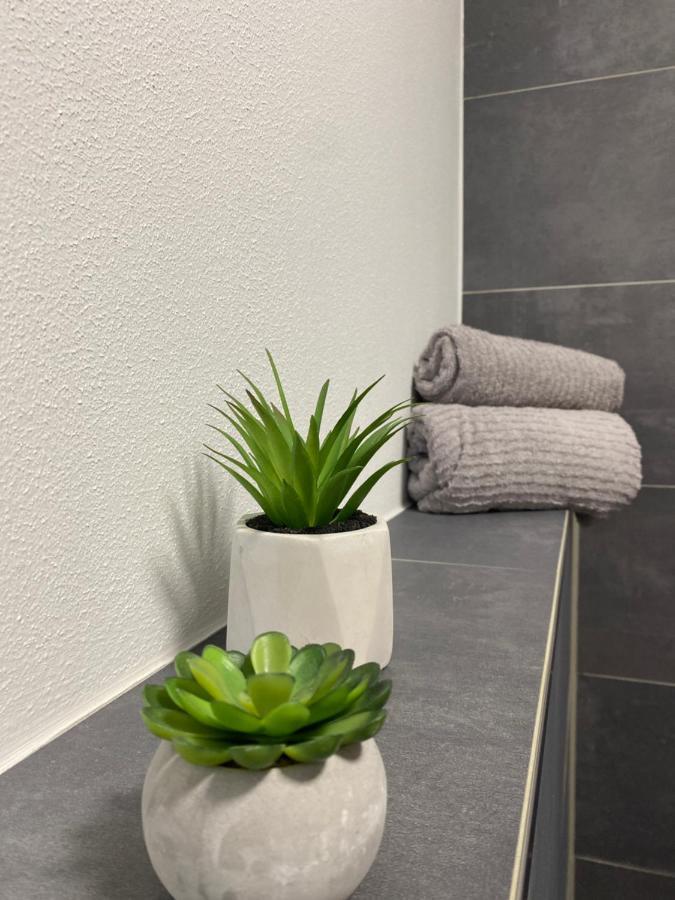 Wood II Appartement 巴特萨尔茨乌夫伦 外观 照片